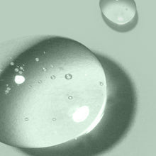 Load image into Gallery viewer, Refreshing Scalp Shampoo - Wild Flower (2 sizes)