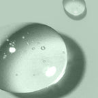 リフレッシング　スカルプシャンプー [ワイルドフラワー/2サイズ]